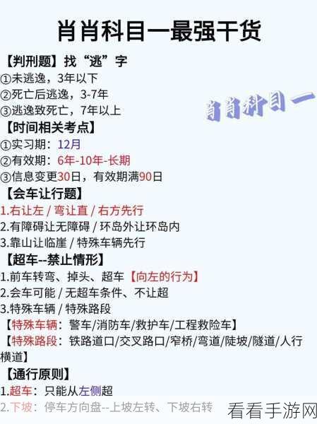 驾考宝典，一键切换模式的神秘秘籍全揭晓