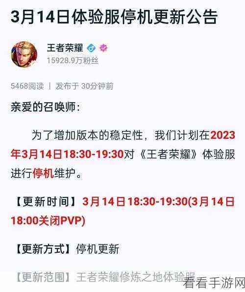 王者荣耀深度攻略，刘备团战霸主养成，解锁制胜战术秘籍
