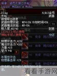 DNF韩服2024新版本步枪评测，顶尖玩家力荐，哪款步枪称霸战场？