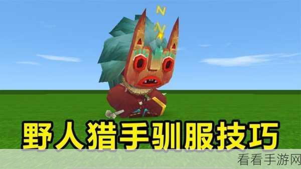 迷你世界驯服鸡宠物全攻略，揭秘高效驯服技巧与趣味互动细节