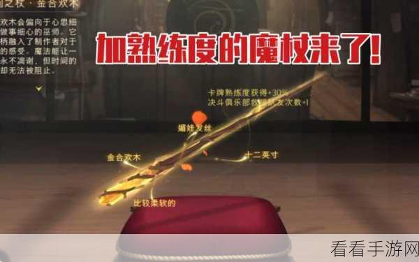 哈利波特魔法觉醒，揭秘红橡木魔杖的非凡力量与独特效果