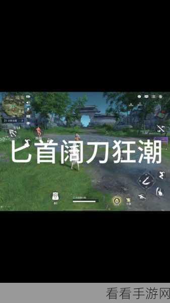 永劫无间双刀绝技，剪挽花完美释放秘籍与实战攻略