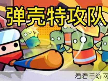 弹壳特攻队圣诞惊喜，白嫖混乱之剑收藏品攻略全解
