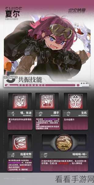 雷索纳斯配对策略揭秘，避开常见误区，打造无敌阵容
