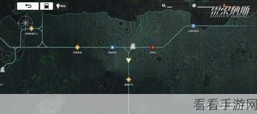 雷索纳斯配对策略揭秘，避开常见误区，打造无敌阵容