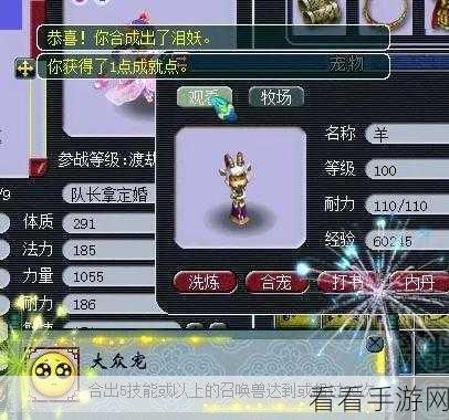 梦幻择天深度攻略,揭秘高分逆袭技巧,登顶天梯不再是梦