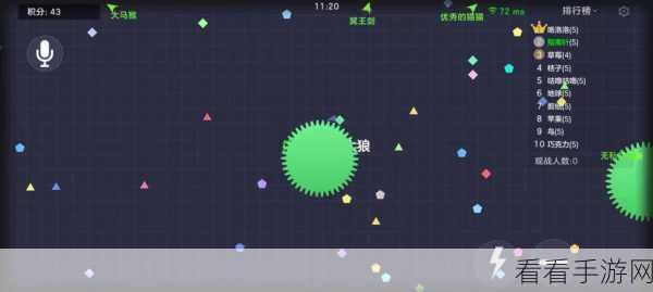 球球大作战生存模式致胜秘籍，全面剖析生存技巧与上榜绝招