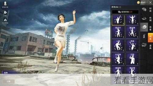 和平精英银百搭是否值得拥有？深度剖析与实战指南