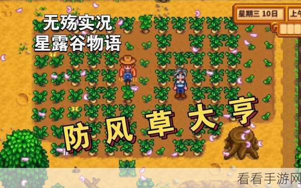 星露谷物语，解锁防风草汤制作秘籍，助你大赛夺冠！