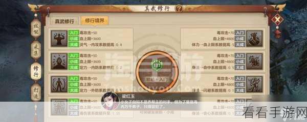 武侠大宗师深度攻略，解锁宗师之路的必胜秘籍