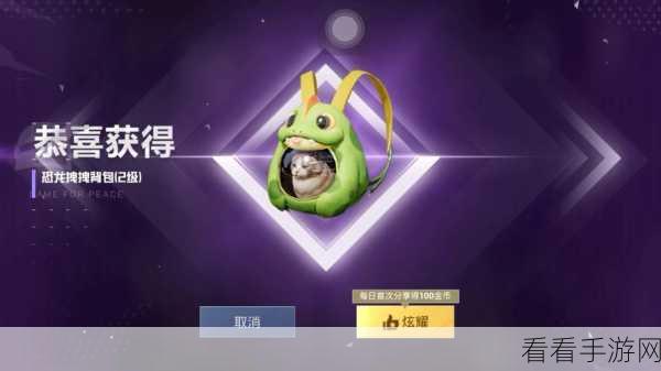 和平精英热门猫包颜值与实用性大揭秘