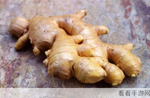 手游圈奇葩惩罚，玩家因不吃姜竟被罚夹一年生姜，游戏社区热议不断