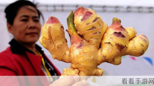 手游圈奇葩惩罚，玩家因不吃姜竟被罚夹一年生姜，游戏社区热议不断