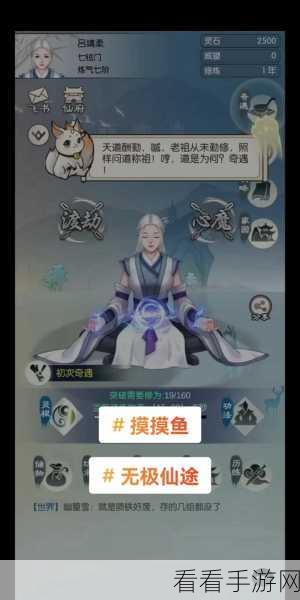 无极仙途飞升后副本配招全攻略，解锁最强战斗组合！