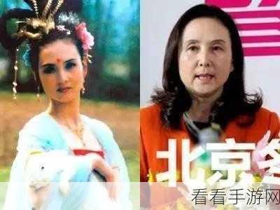 嫦娥全收集攻略,解锁疯狂梗传隐藏挑战,速通秘籍大公开!