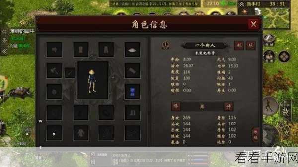 侠客回忆录深度攻略，揭秘王陵副本致胜小技巧