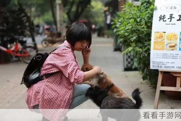 解锁乐天派探险家成就，勇敢小骑士的终极挑战攻略