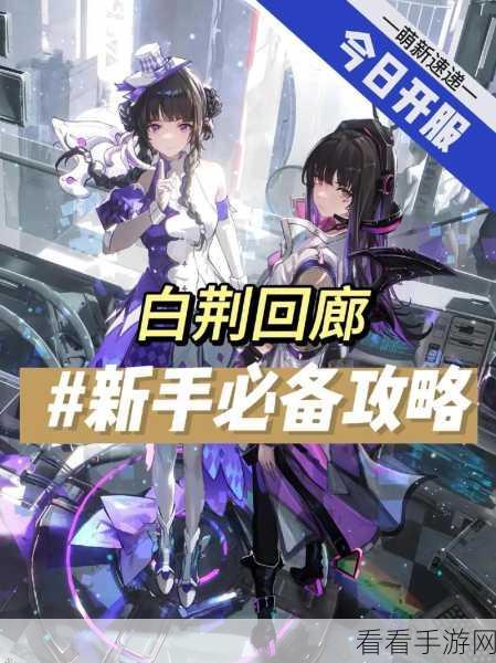 白荆回廊巡声测试，召唤队阵容搭配深度解析与策略建议
