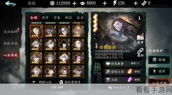 影之刃3高手攻略，小厮技能链搭配秘籍，解锁高效输出与生存双重境界
