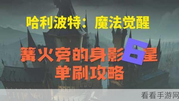 动物TD篝火测试服深度攻略，解锁高效卡组搭配，称霸对战与战役