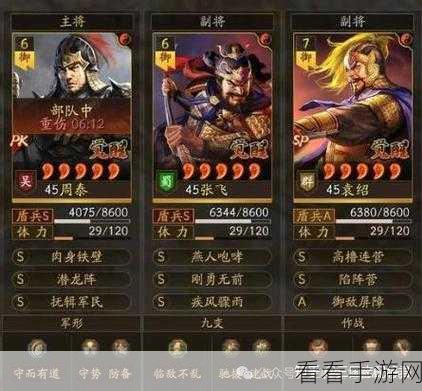 三国志战略版，万军夺帅全攻略，揭秘顶尖武将搭配与制胜策略