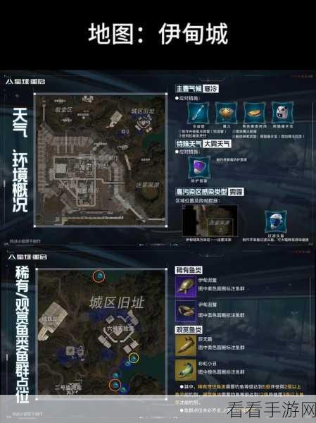 代号降临杜加河谷深度攻略，揭秘额外目标任务，助你征服未知领域