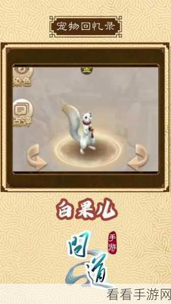 问道手游，电精宠物深度剖析与养成攻略