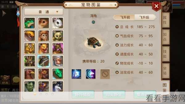 问道手游，电精宠物深度剖析与养成攻略