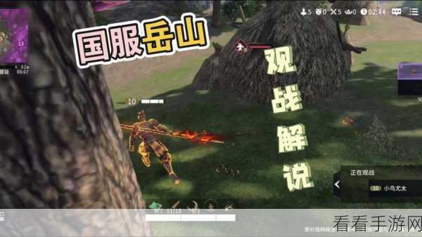 锁链战记国服，武器深度剖析与实战攻略，解锁武器优势秘籍