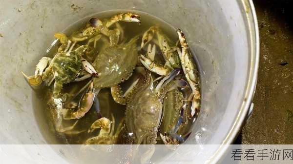 螃蟹大招致胜秘诀，找准最佳释放时机