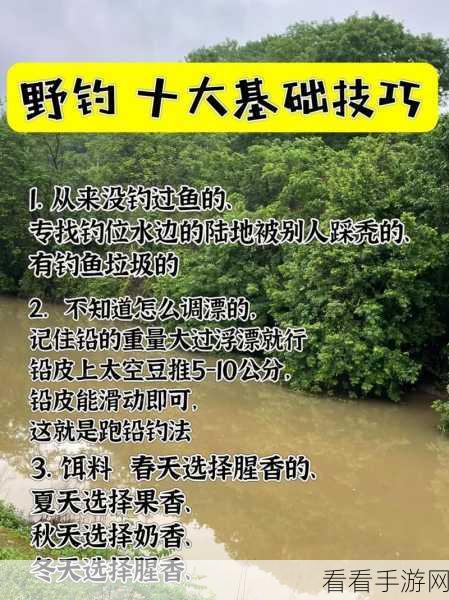 钓鱼高手速成！神角技巧钓鱼任务全攻略揭秘