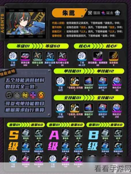 绝区零新手必知，最强阵容搭配秘籍