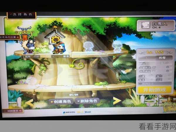 冒险岛火炮手，两天狂飙 200 级的无敌冲级秘籍