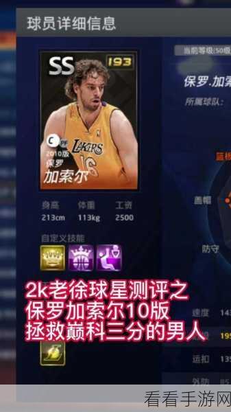 全明星街球派对深度攻略，揭秘米宝球星保罗·加索尔的赛场绝技与数据