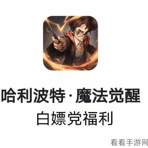 零氪玩家必看！妙奇星球畅行流亡街 11 关秘籍