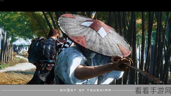 武士之魂燃爆战场，武士的精神游戏全攻略与官网深度解析