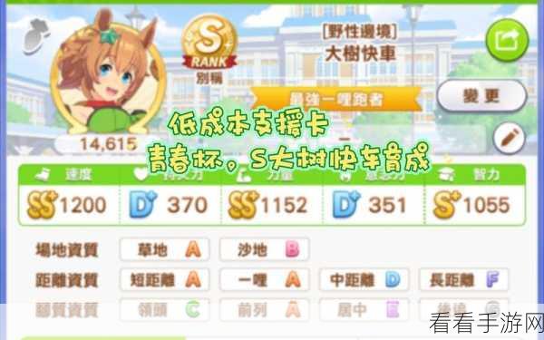 赛马娘手游深度攻略，全角色培育技巧与比赛策略揭秘