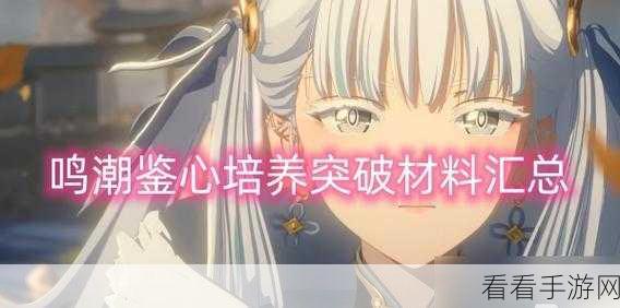 鸣潮鉴心技能加点全攻略，让你的战力飙升