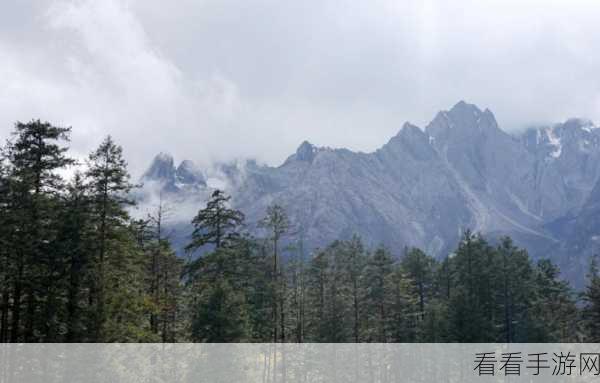 桃源深处新景揭秘，暖冬测试版全面解读及惊喜变化