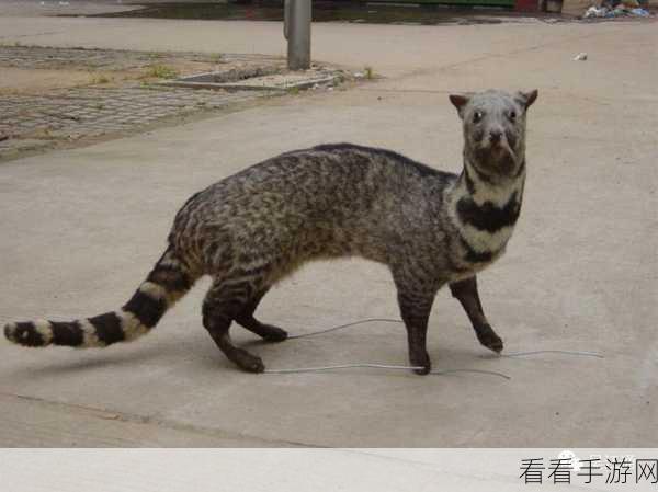 猎人之选，萨尔茨维森公园 DLC 全新上线，珍禽异兽与定制狗狗技能掀起狩猎狂潮