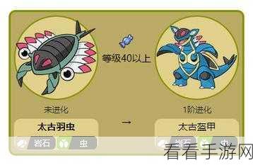 宝可梦剑盾深度解析，波克基古进化全攻略及竞技实战技巧