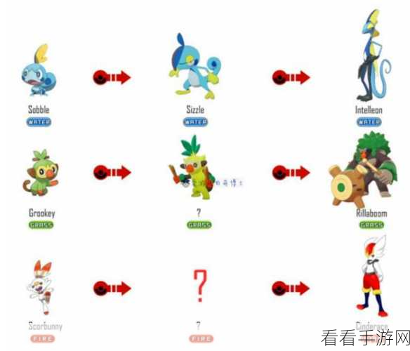 宝可梦剑盾深度解析，波克基古进化全攻略及竞技实战技巧