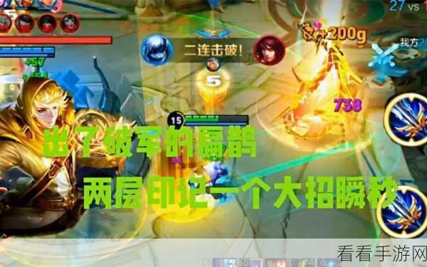 王者荣耀深度攻略，扁鹊实战技巧大揭秘，医术与谋略的双重盛宴