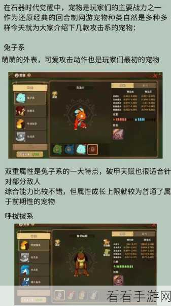 石器时代，觉醒 新手必知的宠物选择秘籍