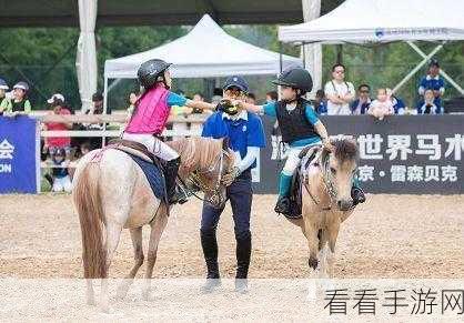 骑士纷争调研大放送，填写问卷赢取豪华礼包，动物雕像、建筑图纸等你解锁！