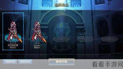 DNF手游先遣测试注册难题全解析，解锁你的游戏之旅