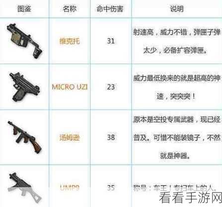绝地求生终极武器揭秘，掌握神器，问鼎吃鸡巅峰