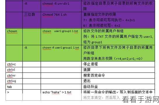 非匿名指令觉醒测试，全面建议与反馈大揭秘
