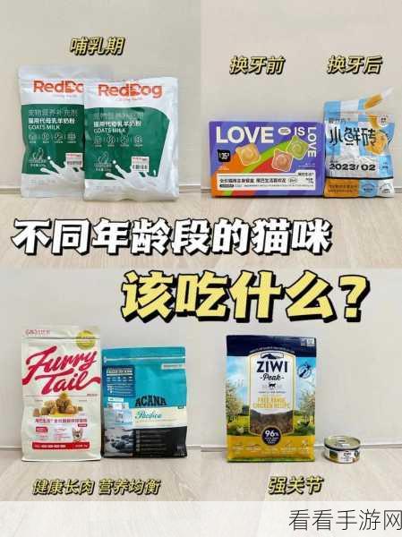猫宅97小班美食揭秘，猫粮大比拼，揭秘它们的最爱及独特口味