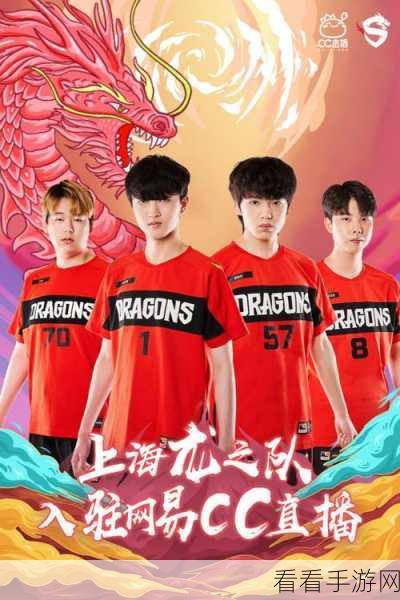 守望先锋世界杯激战落幕，中国队惜败美国队斩获亚军！